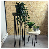 Hairpin Plant Stand / Side Table / End Table